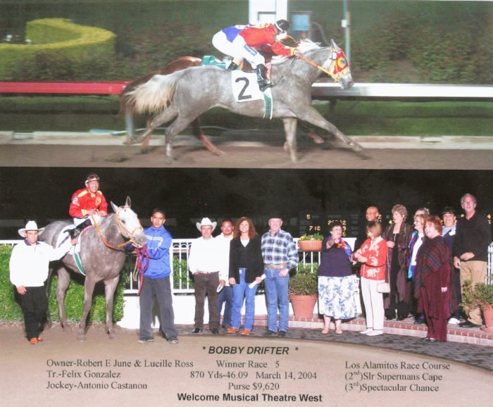 Custom Equine Design